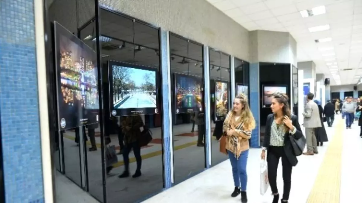 Parkını Anlat" Fotoğraf Sergisi