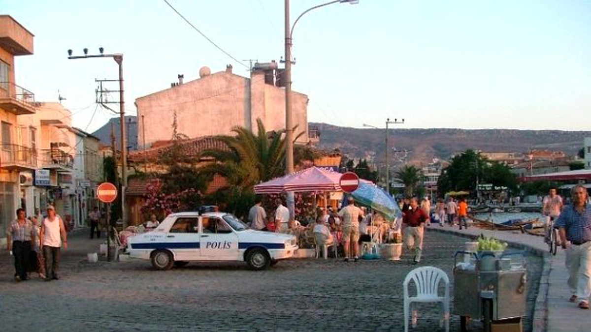 Yazılara Konu Olan 65 Yıllık Palmiye Ağacını Kökünden Kestiler