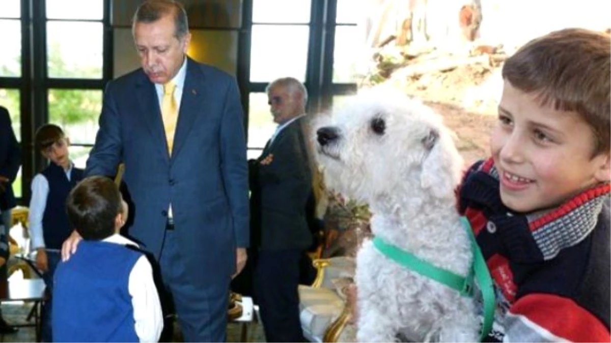 Cumhurbaşkanı Erdoğan, Ömer Faruk\'a Hediye Köpek Gönderdi