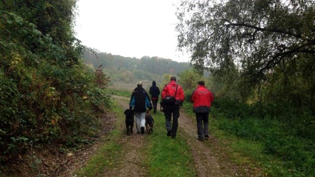 Arama-kurtarma Köpekleri Böyle Eğitiliyor