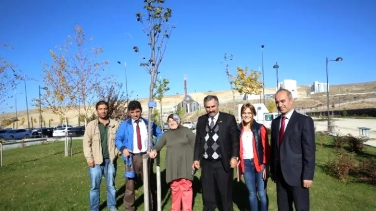 İsimleri Ağaçlarda Yaşayacak