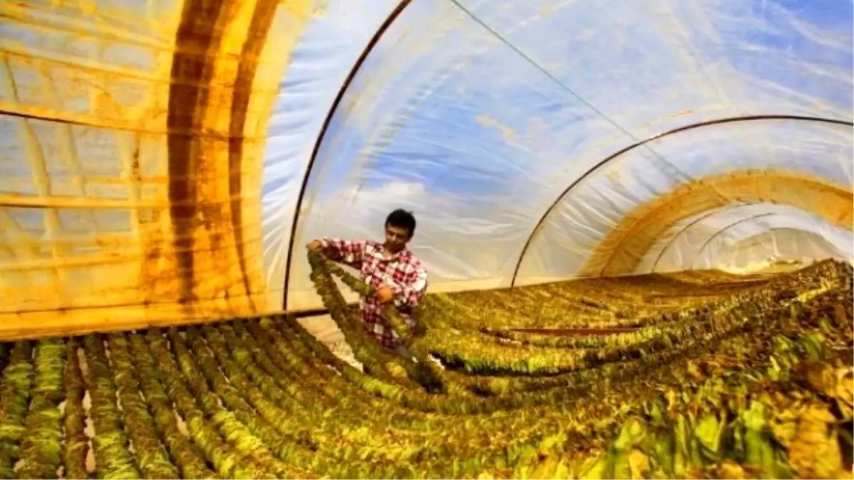 Denizli\'de 2. Ulusal Fotoğraf Yarışması\'na Yoğun İlgi