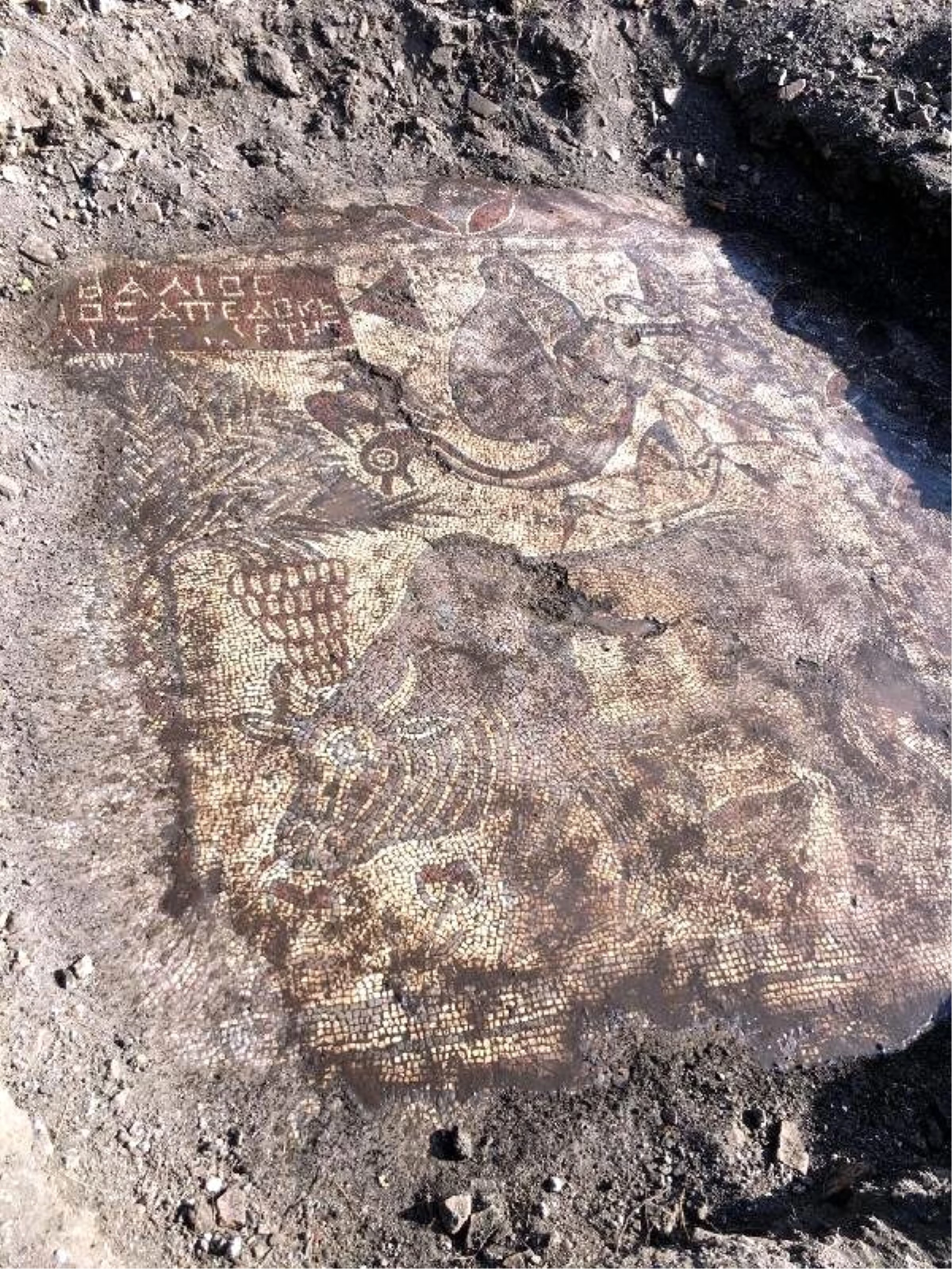 Kaçak Kazı, Roma Dönemine Ait Taban Mozaiklerini Ortaya Çıkardı