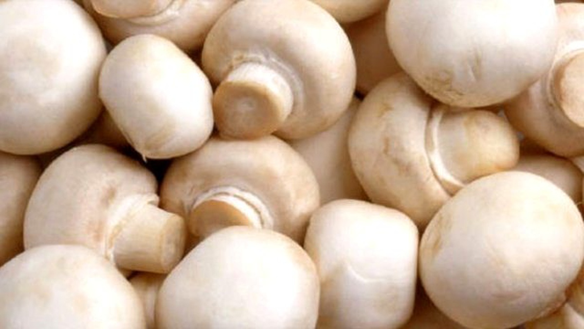 Sağlık Bakanlığı\'ndan \'Mantar\' Uyarısı