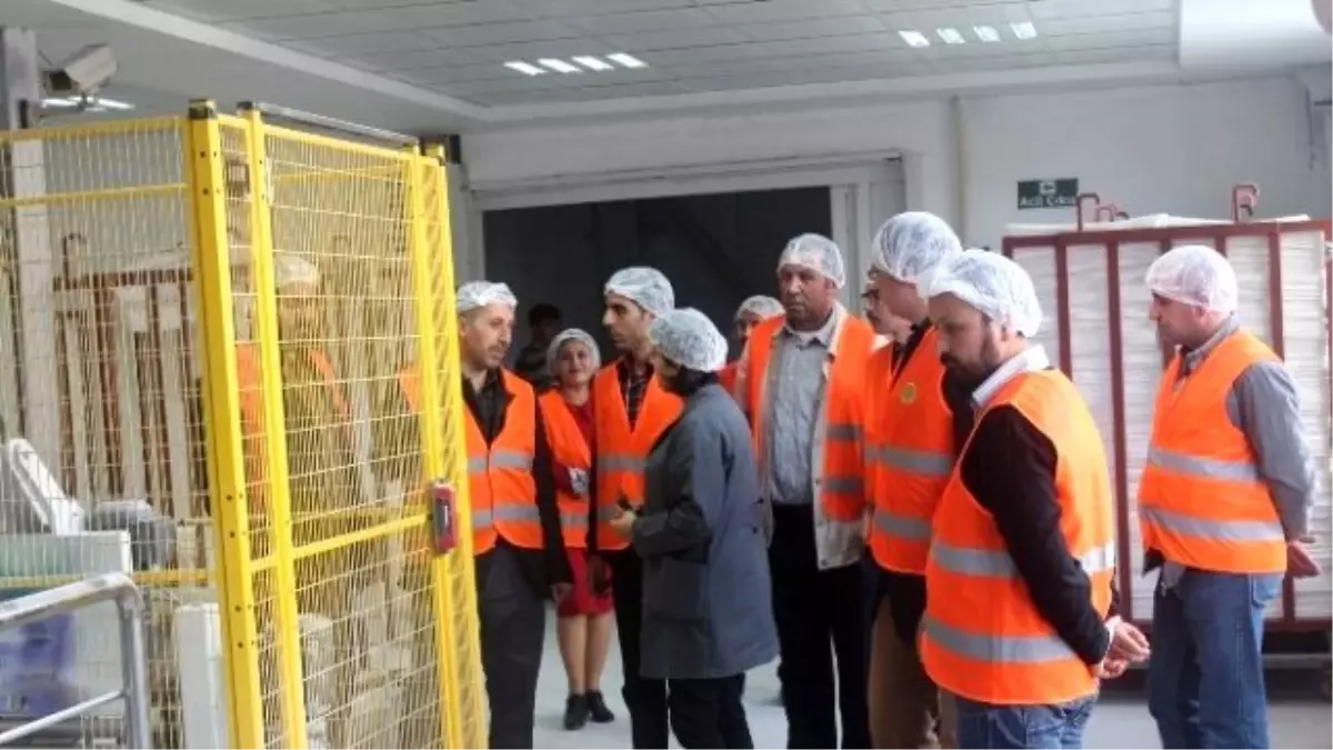 Baklavacılar, Şekerleme, Unlu Mamul Üreticileri ve Marketçiler Kayseri Şeker\'de Üretim Aşamalarını...