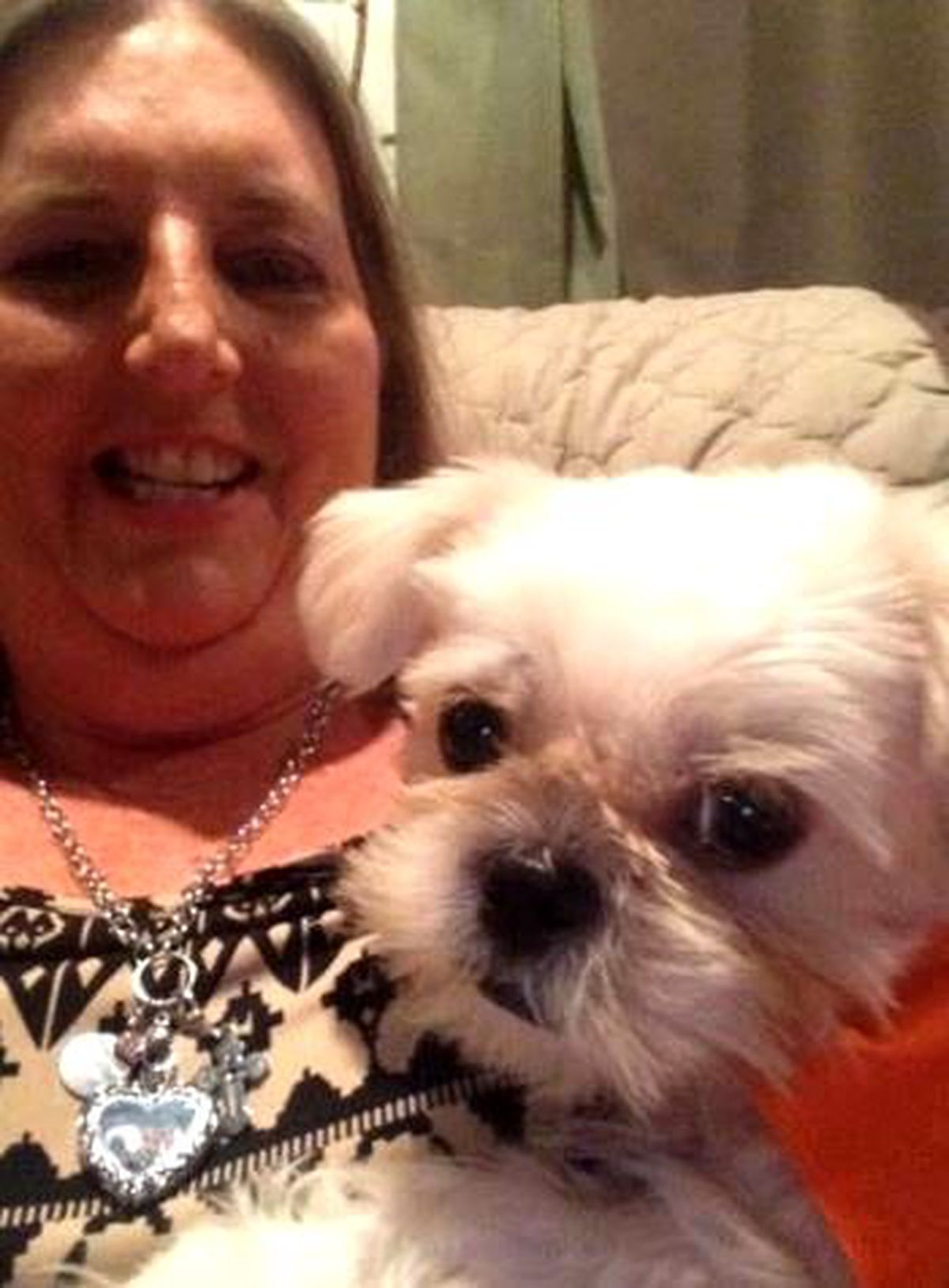 Alkollü Adam, Köpeği Isırdı Sonra da Olanlar Oldu