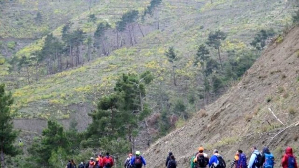 Ata\'yı Anma Spil Dağı Zirve Tırmanışı Yapıldı