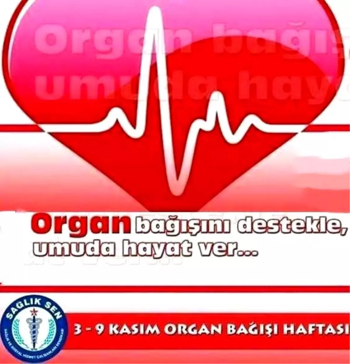 Aydın Sağlık-sen\'den Organ Bağışı Çağrısı