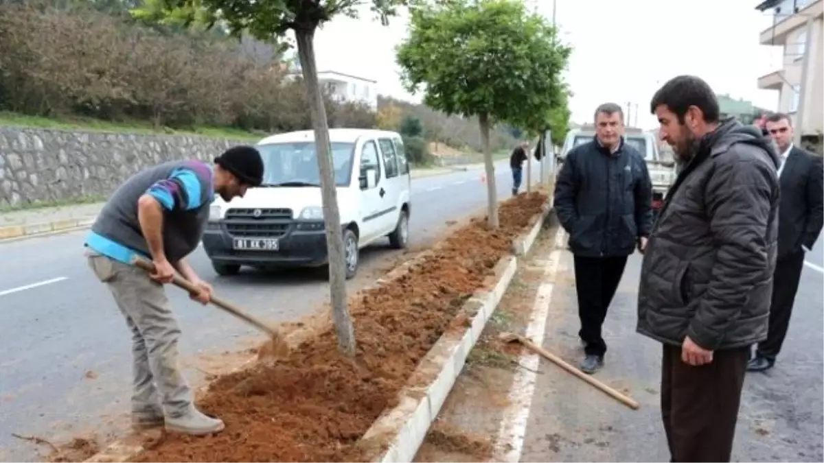 Bahar Mevsiminde Akçakoca Gül Kokacak