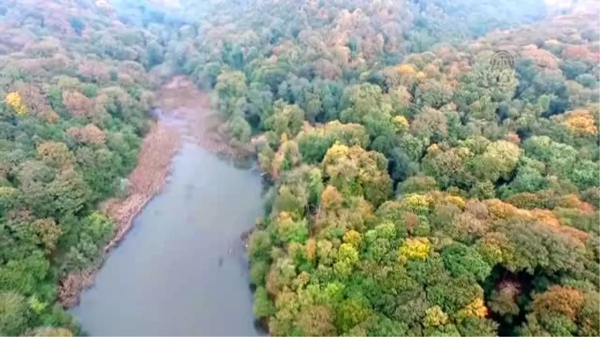 Belgrad Ormanı\'nda Sonbahar (Havadan)