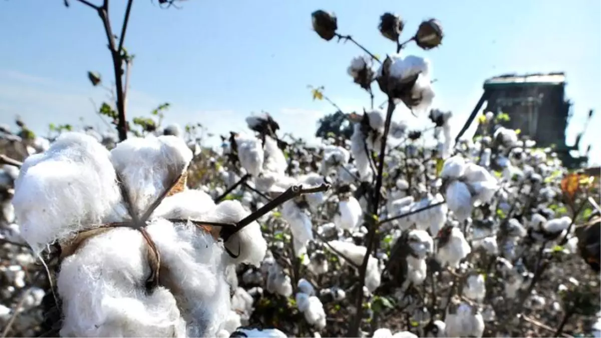 Denizli Ticaret Borsası