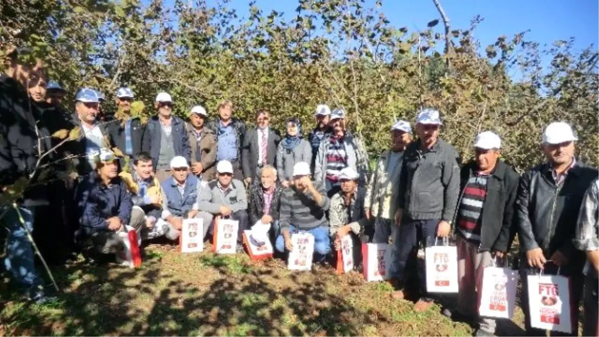 Fındık Budamayı Öğrendiler