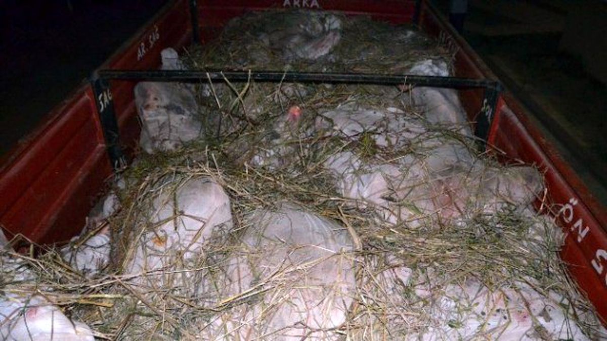 Jandarma Kaçak Ete \'Dur\' Dedi