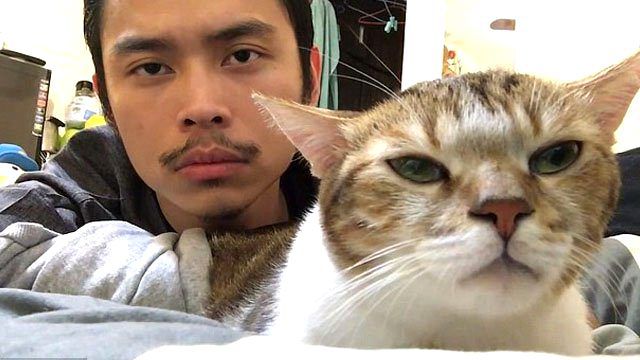 Kedi Ritim Tutuyor Son Dakika Dunya