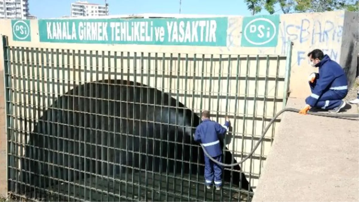 Sineklere Yönelik Mücadele Başladı