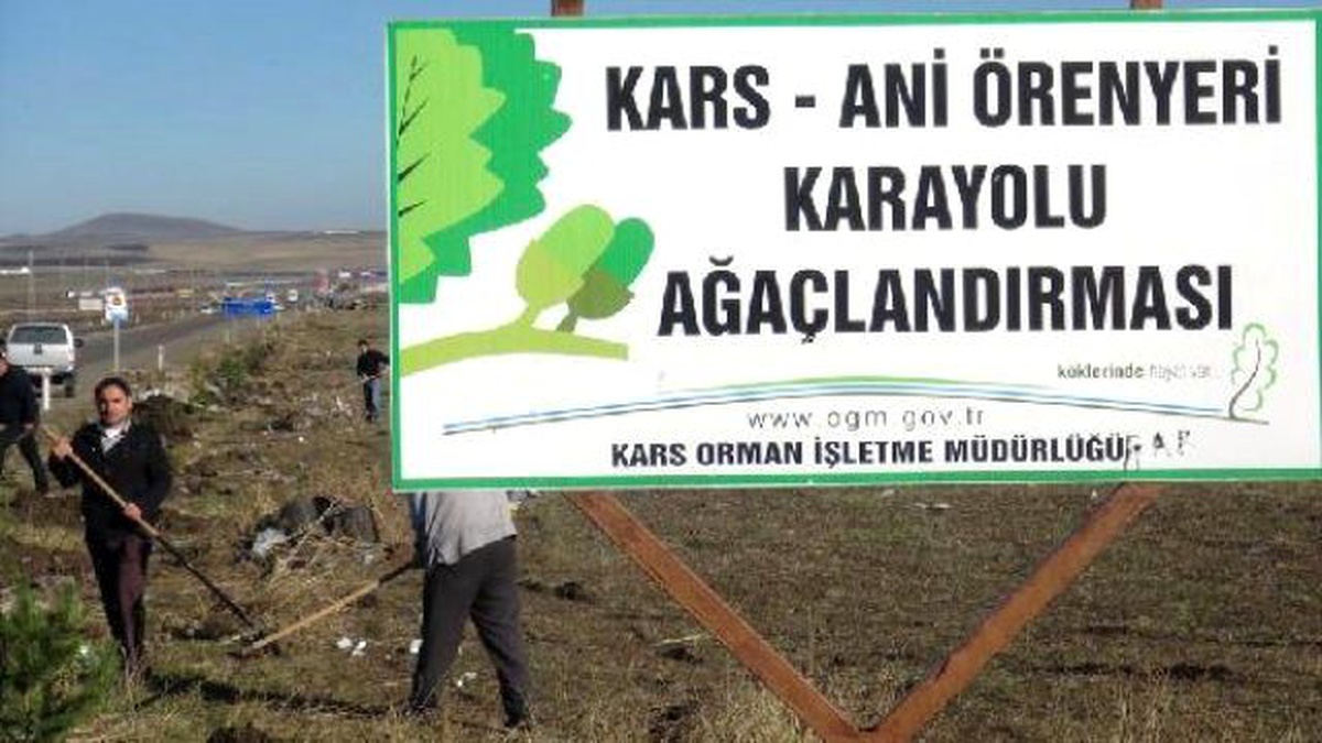 Tarihi Ani Harabeleri\'ne Giden Karayolu Ağaçlandırılıyor