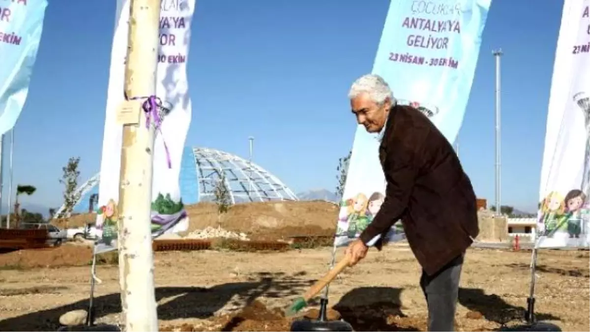 Ünlü Şef Diktiği Çınar Ağacını Öptü, Can Suyu Verdi