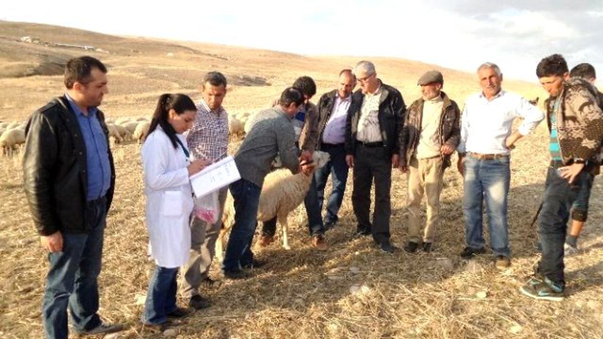 Küpeleme Çalışmaları Arapgir\'den Başladı