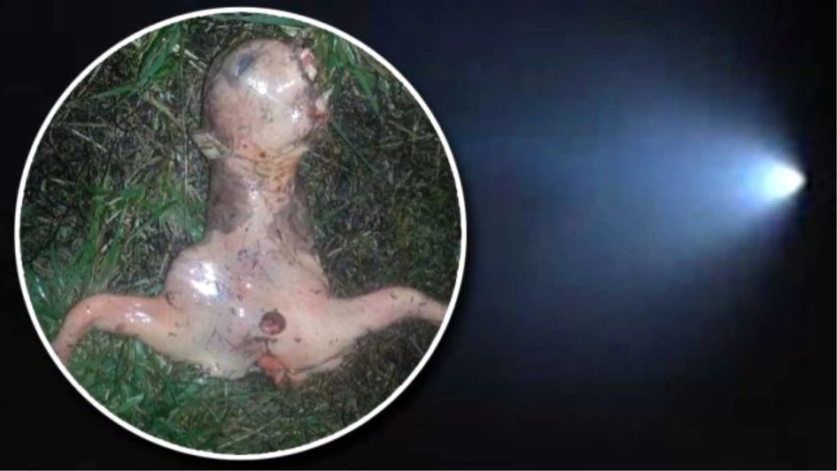 ABD\'li Kadın Arka Bahçesinde "Uzaylı" Buldu