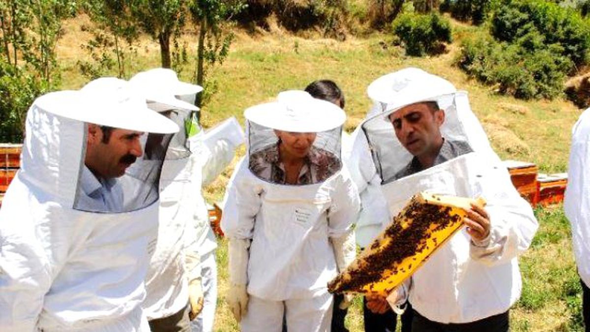 Van'da 'Organik Bal Arıcılığı' Projesi Kapsamında İlk Hasat Yapıldı