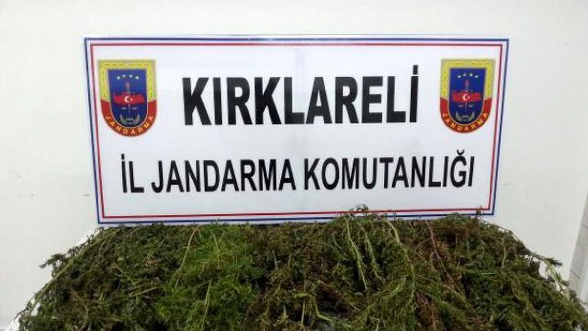 Babaeski\'de Uyuşturucu Operasyonu: 1 Gözaltı