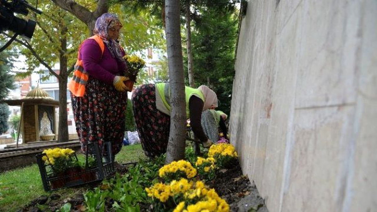 Bilecik Rengarenk Çiçeklerle Bezeniyor