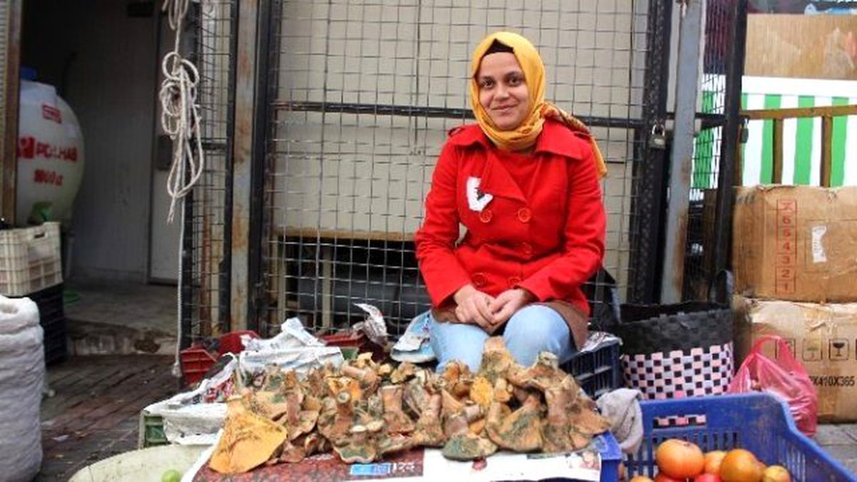 Çıntar Geçim Kapısı Oldu