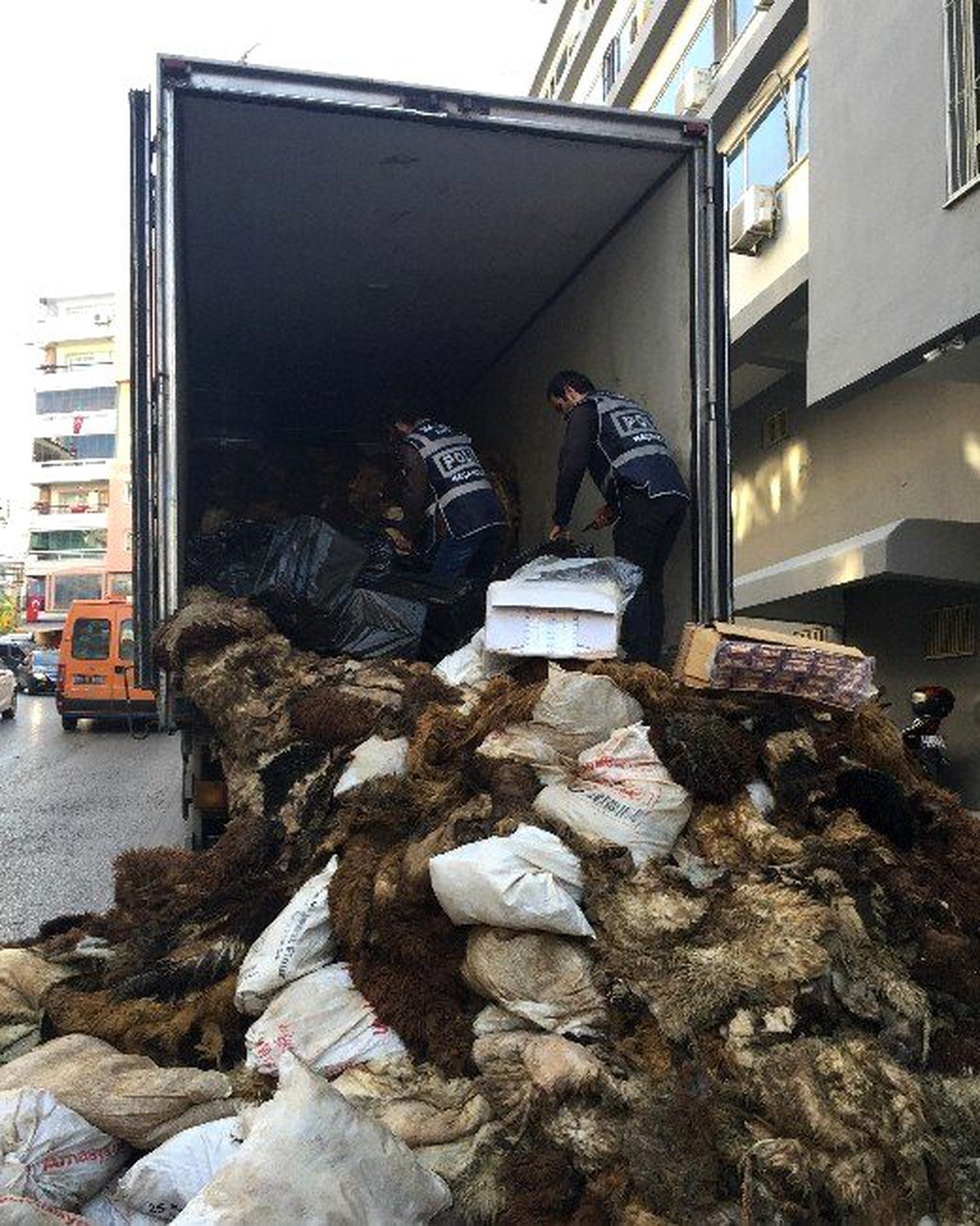 Hayvan Derilerinin Arasında Kaçak Sigara Çıktı