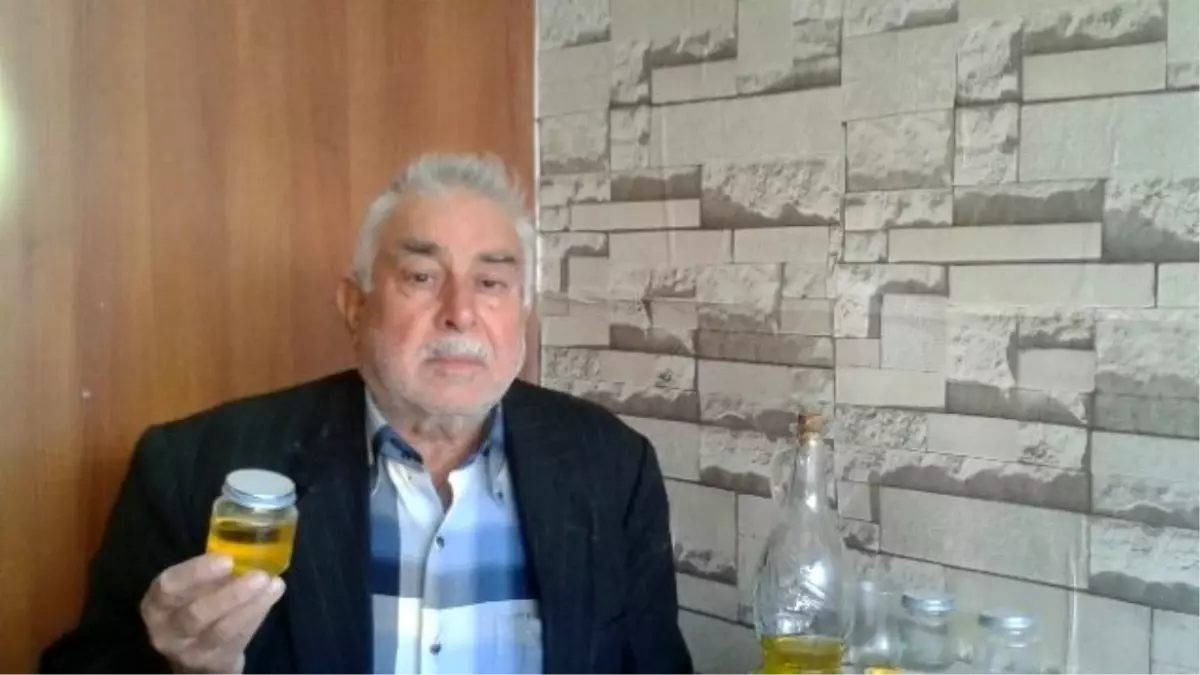 İspanya ve İtalya\'daki Azalan Zeytin Yağı Üretimi Türk Zeytin Üreticilerini Umutlandırdı