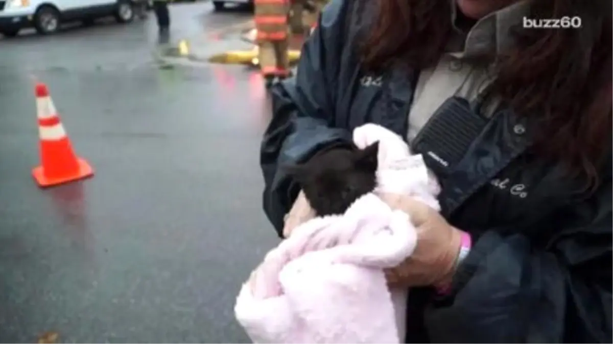 Kid Helps Fire Department Save Kitten From Storm Drain