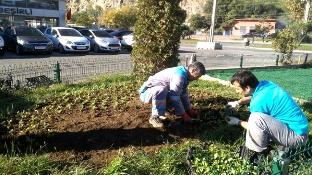 Ortahisar\'da Peyzaj Çalışmaları Sürüyor