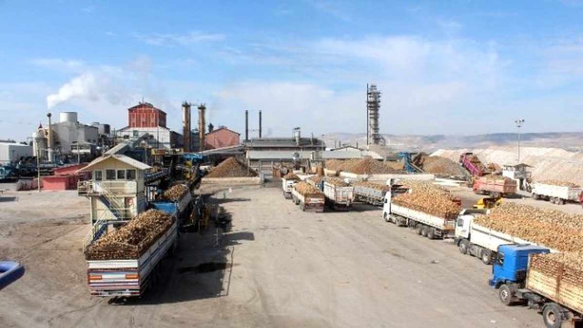 Pancar Nakliyesi En Çok Rağbet Edilen Taşımacılık Haline Geldi