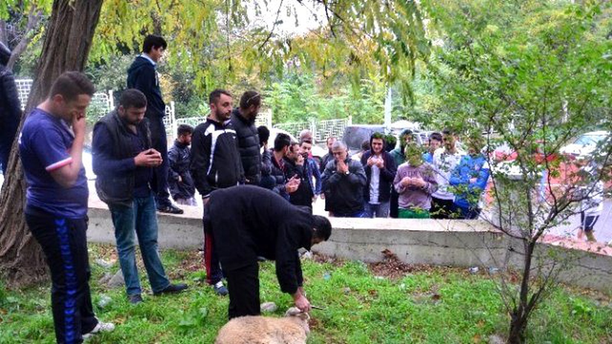 Taraftar Grubu Galibiyet İçin Kurban Kesti