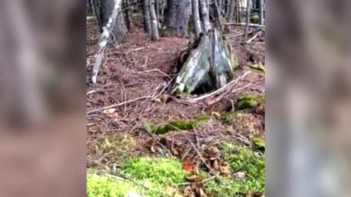 İnanılmaz Görüntü! Toprak Nefes Alıp Veriyor