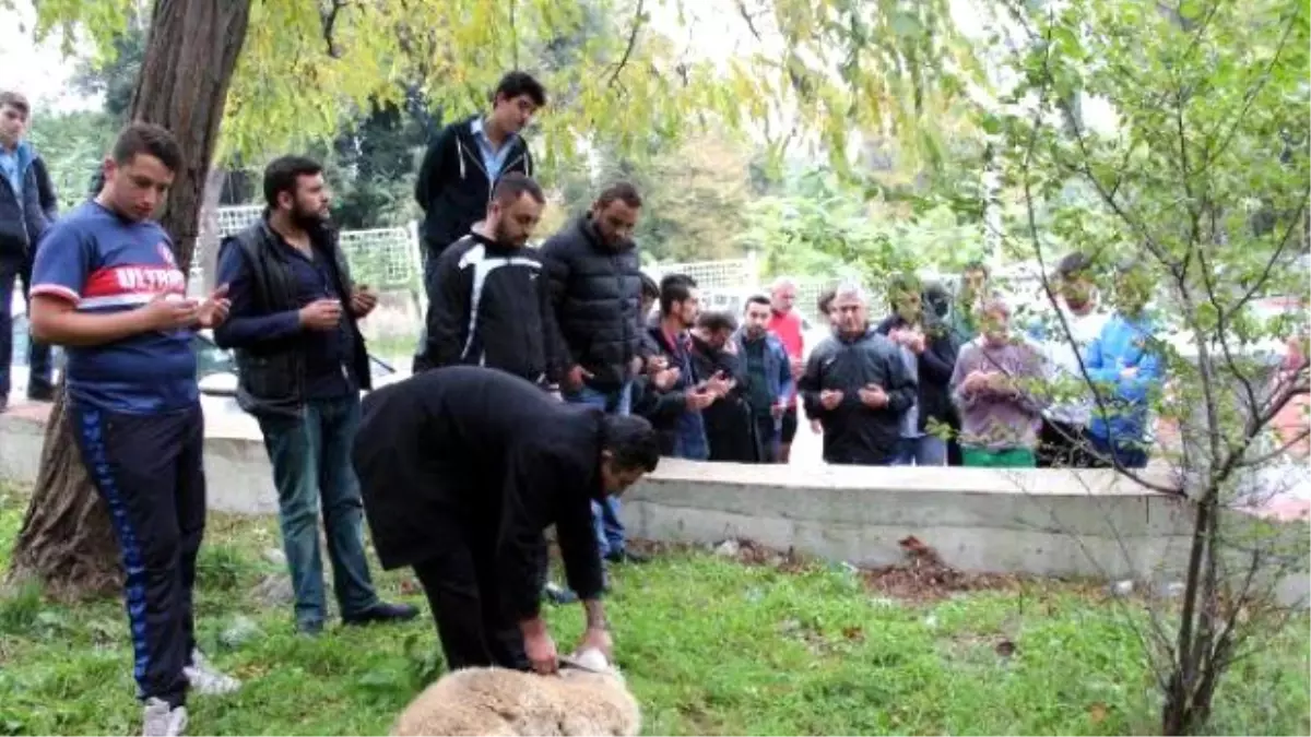 Zonguldak Kömürspor, Galibiyet İçin Kurban Kesti