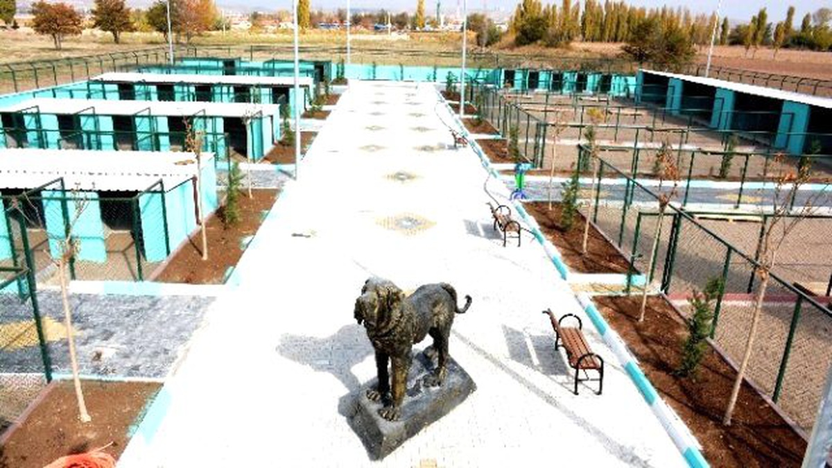 Aksaray\'da Hayvan Rehabilitasyon Merkezi Kuruldu