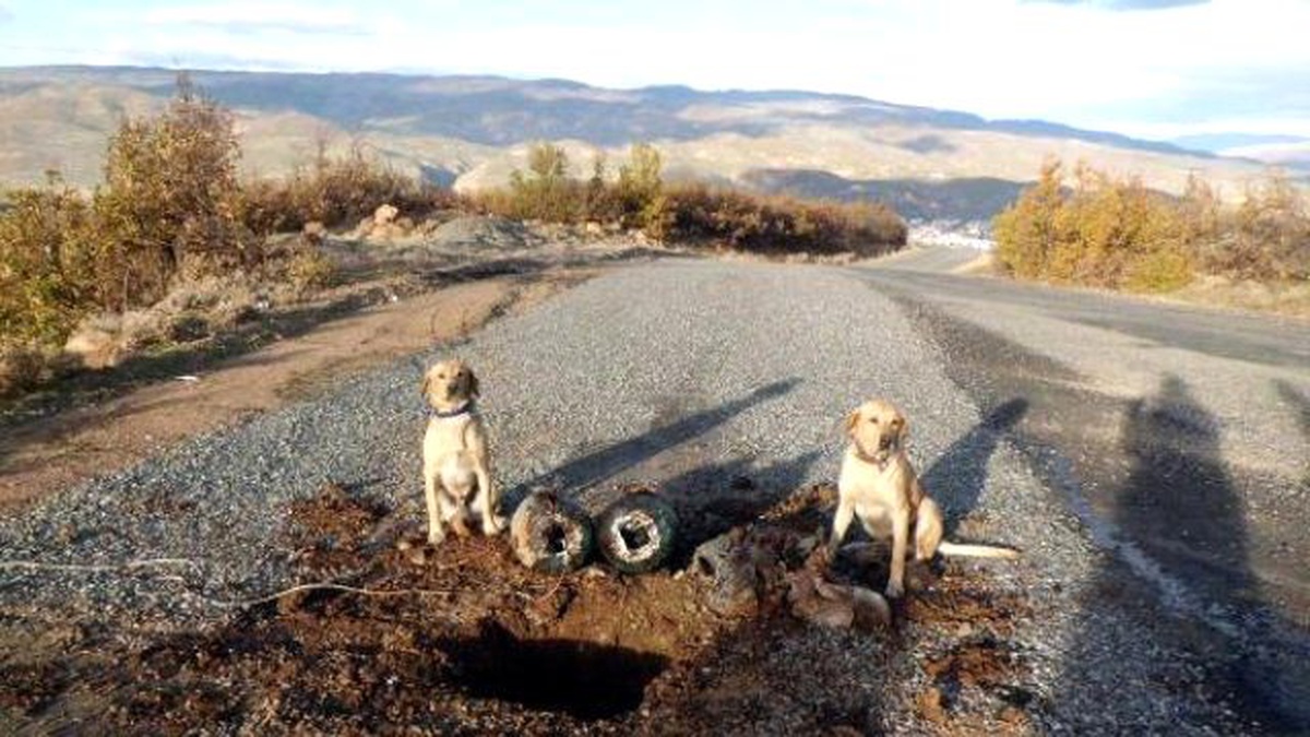 Bingöl\'de PKK\'lı Teröristlerin Yola Tuzakladığı Patlayıcı İmha Edildi