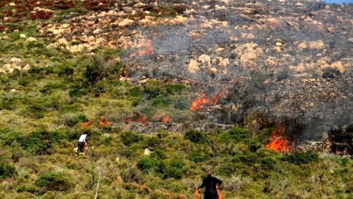 Bodrum Yazı Yaşıyor, Bir Yanda Yangın Bir Yanda Deniz Keyfi