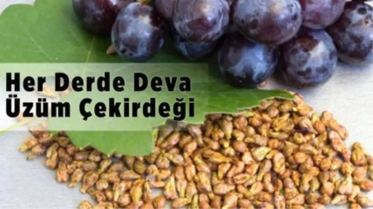 Her Derde Deva: Üzüm Çekirdeği