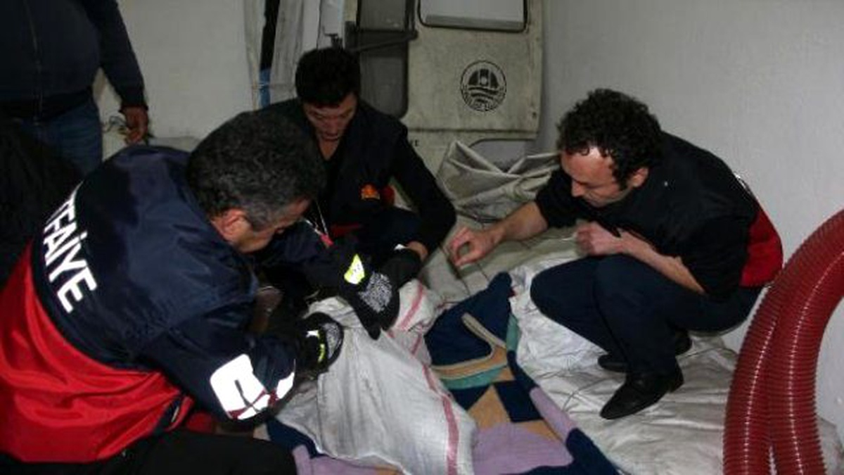Otomobilin Tampon Bölümünde Sıkışan Çakal Kurtarıldı