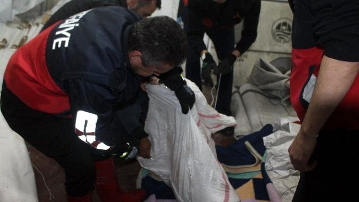 Otomobilin Tamponunda Sıkışan Çakalı İtfaiye Kurtardı