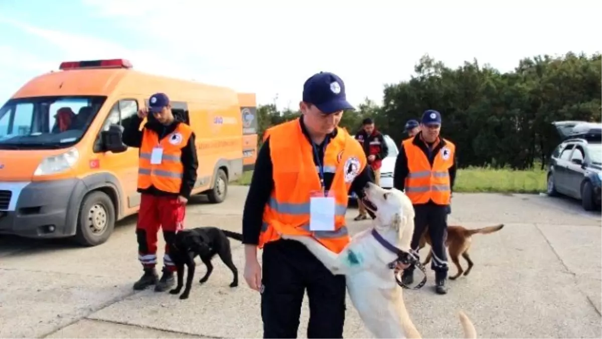 Afad\'ın Açtığı Sınavı Geçen Köpekler, Sertifika Alacak