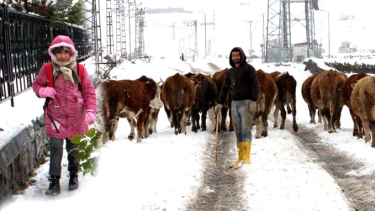 Ardahan\'da Kar Yağışı Nedeniyle Eğitime 1 Gün Ara Verildi
