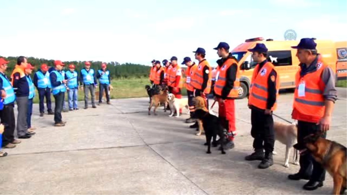 AFAD Dedektör Köpeklere Yeterlilik Sınavı Düzenledi