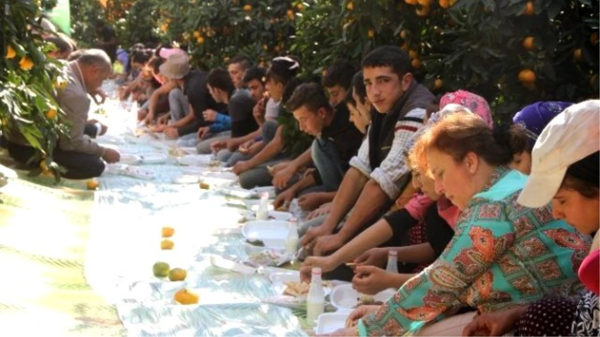 Dörtyol Narenciyesi Emin Ellerde" Projesi Hayata Geçirildi