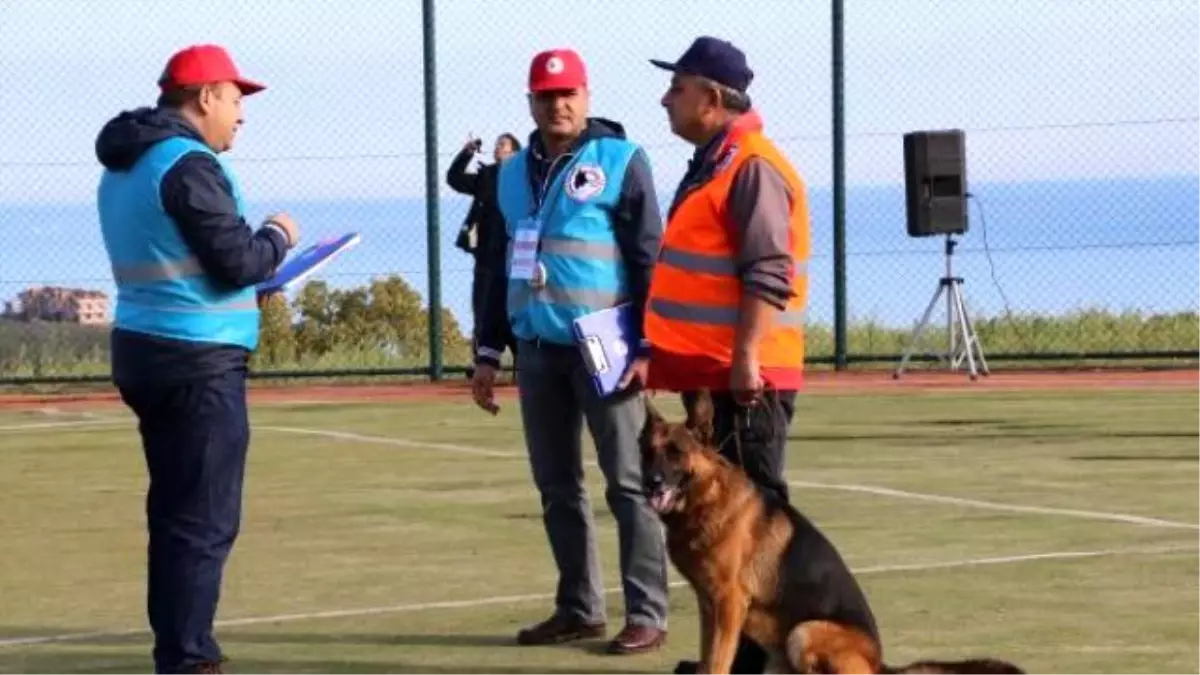 Enkaz Altından Can Kurtaracak Köpekler İçin Sınav Yapıldı