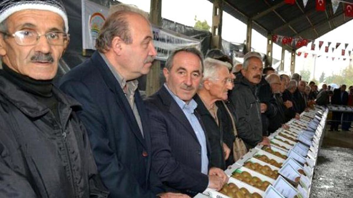 Fındık Üreticisi Kiviyi Sevdi
