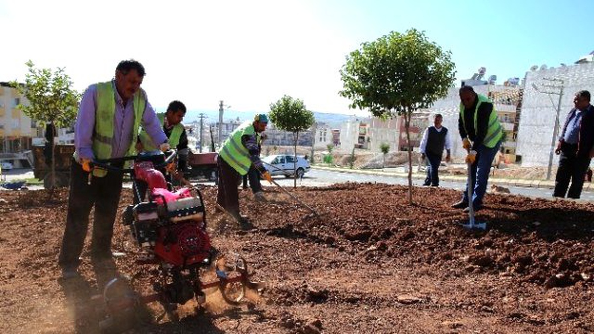 Haliliye Belediyesinden Çimleme Çalışması