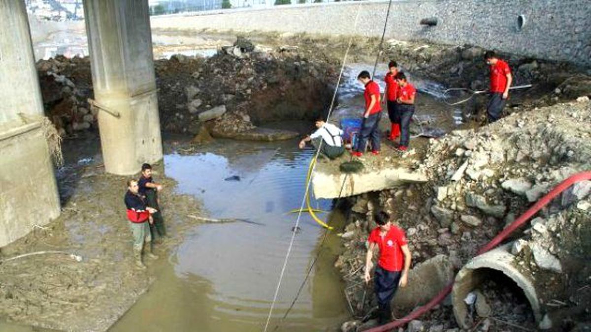 İzmit\'te İtfaiyeciler Binlerce Balığı Kurtardı