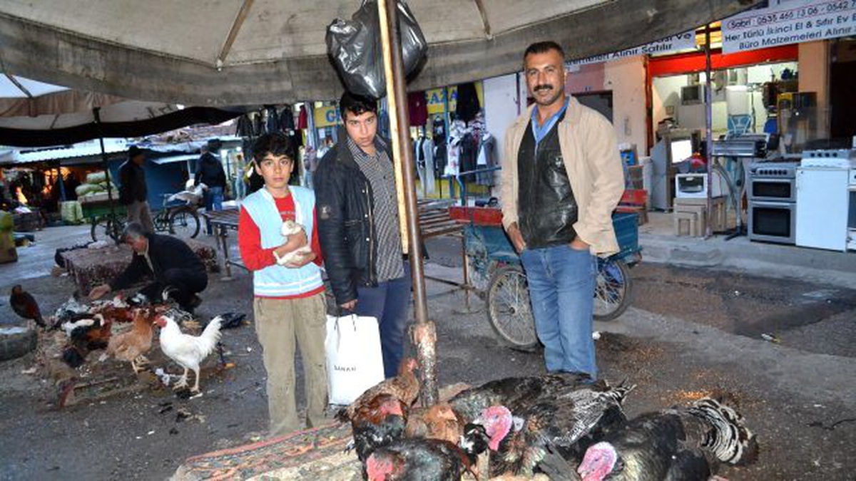 Semt Pazarında Satılan Köy Tavukları Ve Hindilere İlgi Büyük